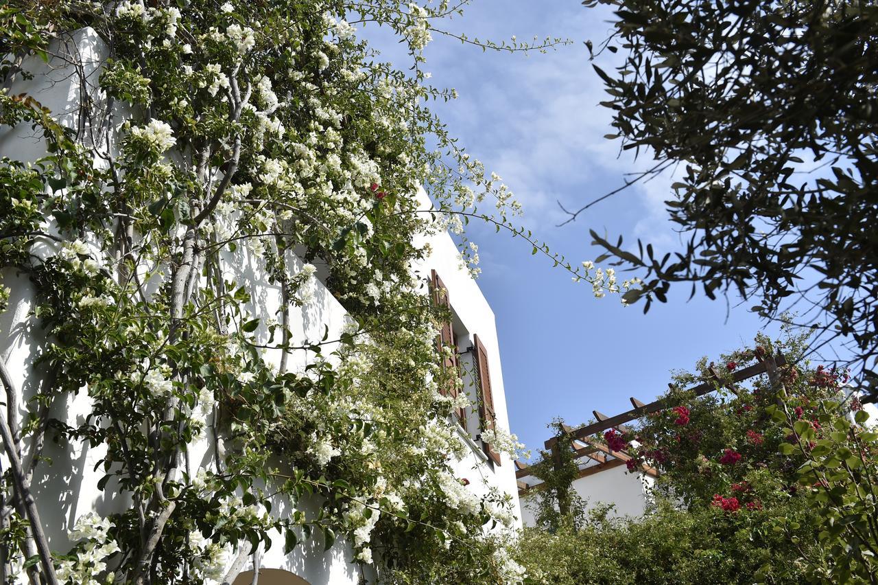 Hippocampus Studios Antiparos ciudad Exterior foto